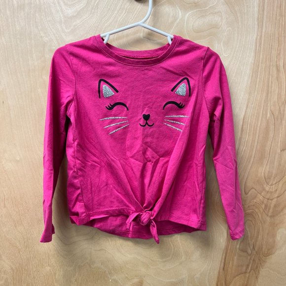 4T Girl's Longsleeve T-Shirts, Set of 4 (Multiple Brands) - Picture 7 of 12